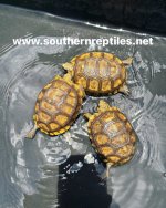 A7CE0630-A26B-4190-AA11-DA20E29C7D9B.jpg
