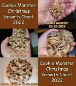 Cookie Monster Christmas Growth Chart.jpg