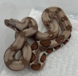 M4 Fire poss het VPI T+.jpg