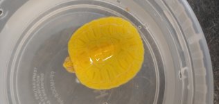 0803220929.jpg
