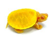 babyalninoslider (2).jpg