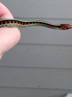 IMG_20230421_080654.jpg