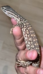 IMG_6055.jpg