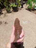 20230714_134853~2.jpg