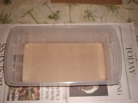 image00000019.jpeg