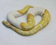 IMG_4018.jpeg