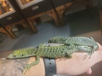 20231102_111815.jpg
