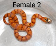 DSC_2116~2.jpg