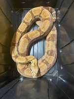 IMG_6013.jpeg