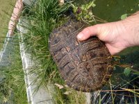 IMG_20230617_123656.jpg