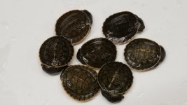 20230705_174102.jpg