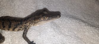 20230930_212245.jpg