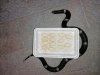 IMG_20230628_160048.jpg