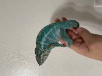 IMG_0399.jpg