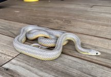 IMG_0293.jpg