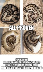 8a0kuw~2.jpg
