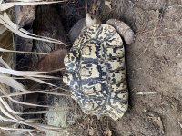 IMG_8517.jpg