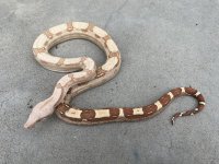 2F5AF414-AD75-48EB-945A-F78BE2667F58.jpg