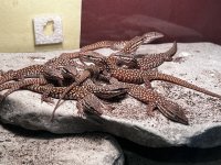 IMG_0964.jpg