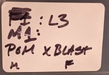 M1_L3 Pomaville x Blast1.jpg