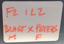 F2_L2 Blast x Peters1.jpg