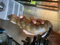 57A67B81-FB3A-441E-85D8-6BD2E23CEC24.jpg