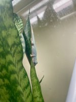 IMG_9444.jpg