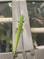 IMG_8752.jpg