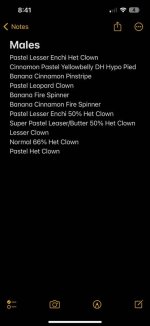 IMG_5633.jpeg