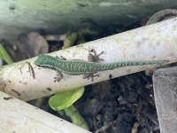 IMG_0853.jpg