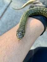 IMG_4067.jpg