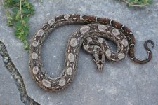 IMG_5280.jpg