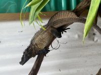 IMG_9363.jpg