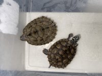 21692391860_.pic_hd.jpg