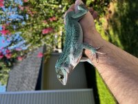 897D4B1F-E9BE-4F1A-ACD1-6E6E0CC85DFC.jpg