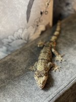 IMG_3178.jpg