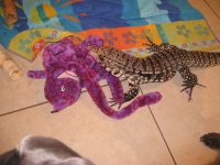 IMG_3827.jpg