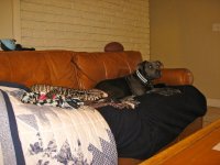IMG_3847.jpg