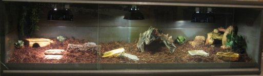 IMG_3529.jpg