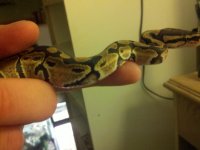 2011-04-23_19-48-14_649.jpg