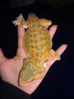 IMG_20110414_151858.jpg