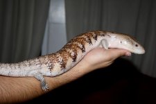 IMG_9770.JPG