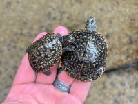 AFD94E02-256C-45D8-B9DD-EAC533D7D9A7.jpg