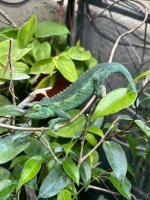 IMG_7575.jpg