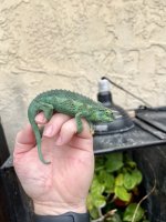 IMG_7562.jpg