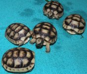 2023 Marginated .jpg