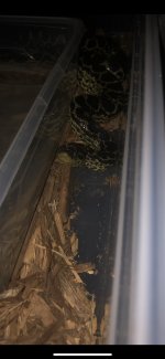IMG_5222.jpg
