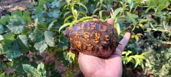 20230729_104645.jpg