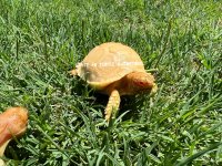 5E919ACF-773E-44F3-A607-ABD3BD6C82D8.jpg