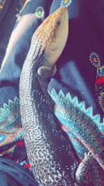 Snapchat-1365631255.jpg